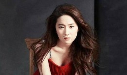 刘亦菲最新爆料豆瓣,揭秘女神背后的故事与心路历程